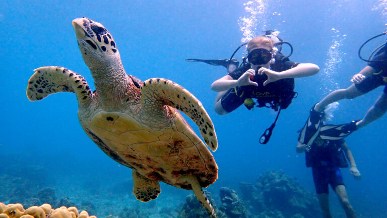 racha-noi-diving-from-phuket-02