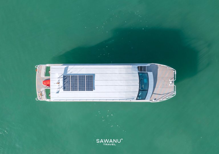 sawan3